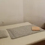 캐피탈 게스트하우스 3*